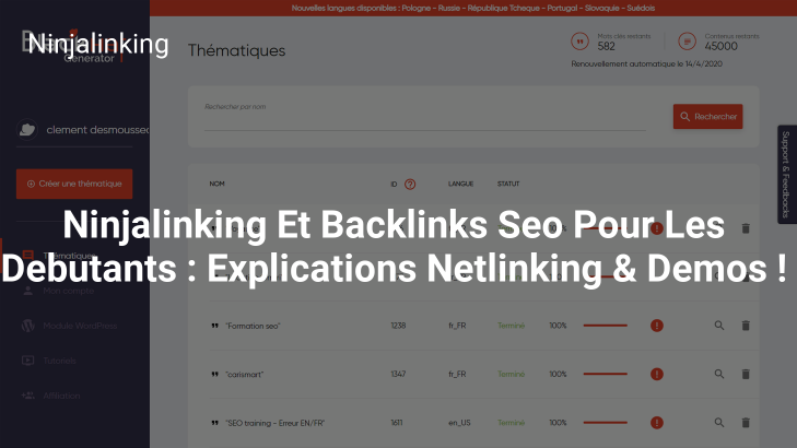 Ninjalinking Et Backlinks Seo Pour Les Debutants : Explications Netlinking & Demos !
